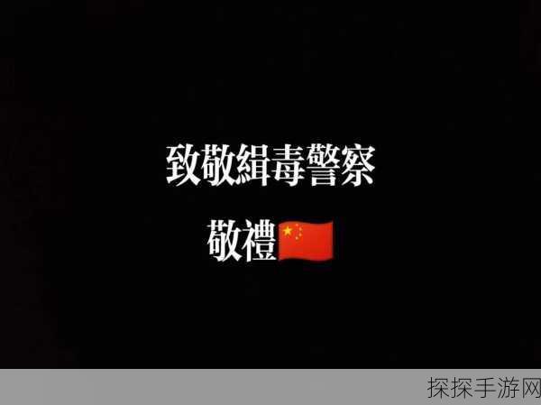缉毒警察睾丸被注入了高浓缩药剂:缉毒警察遭遇高浓缩药剂注入事件,引发广泛关注