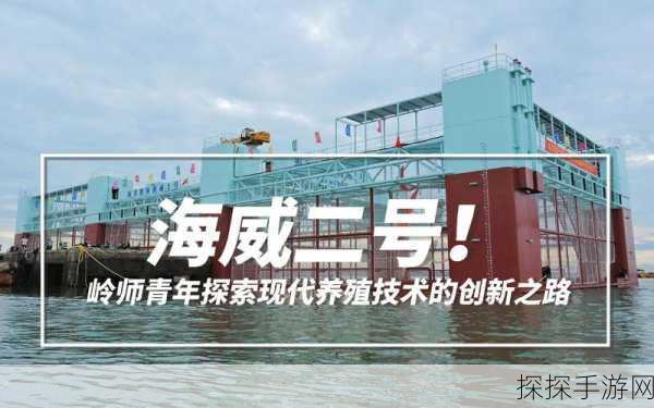 国产sswwssww:探索国产SSWWSSWW的创新之路与发展潜力分析