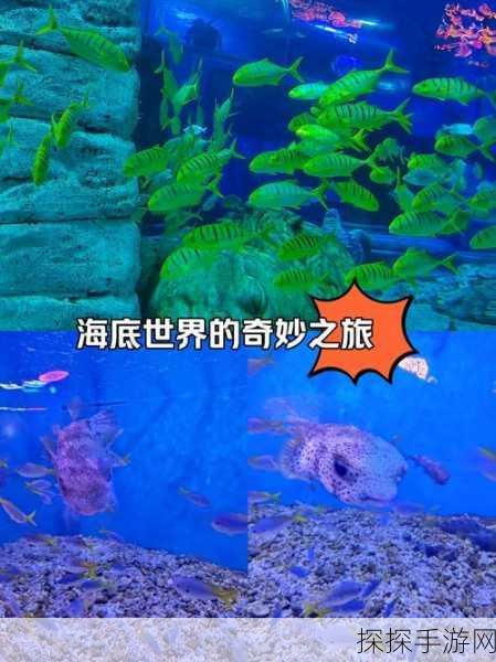 梦想海底城镇,探索神秘海底世界的休闲新游资讯