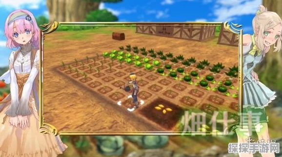 符文工房 5，精准把握南瓜种植黄金季