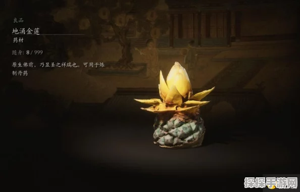 必知！黑神话悟空地涌金莲获取秘籍大公开