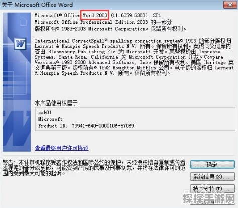 掌握关键！Visio 2003 轻松加入文本秘籍
