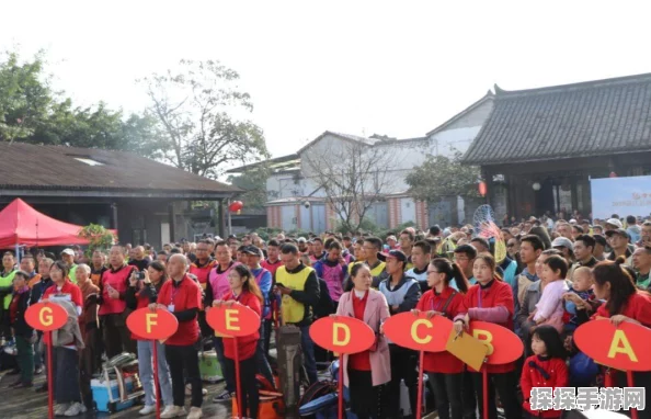 LOL手游全球赛区概览，竞技盛宴，激情碰撞