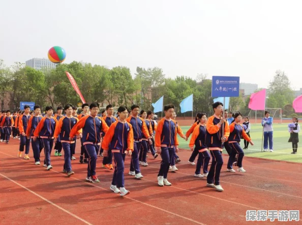 LOL手游全球赛区概览，竞技盛宴，激情碰撞