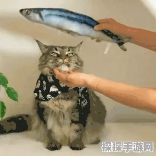 猫咪出装新版独家攻略，制霸战场，引领队友走向胜利