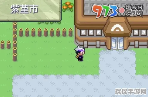 口袋妖怪漆黑的魅影孵蛋攻略，打造极品精灵的秘诀