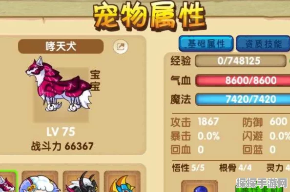 造梦西游OL宠物快速升级全攻略