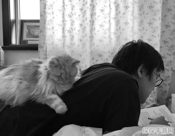 暗黑破坏神3单机版，孤独勇士的终极试炼之旅深度解析与挑战攻略