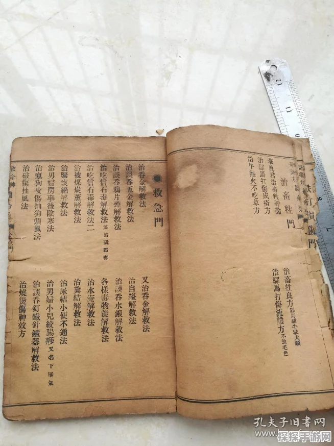 原神探秘，路爷神奇药方全解析，百草妙用实战秘籍