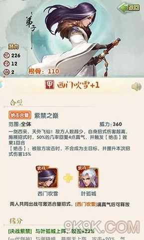 大掌门 2 剑客最佳阵容，装备升级的关键抉择