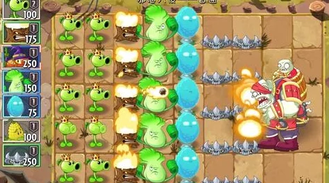 植物大战僵尸 2 之邪恶入侵，关卡全揭秘与通关秘籍