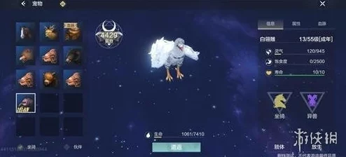 妄想山海赤翎雕栖息地揭秘与捕捉全攻略