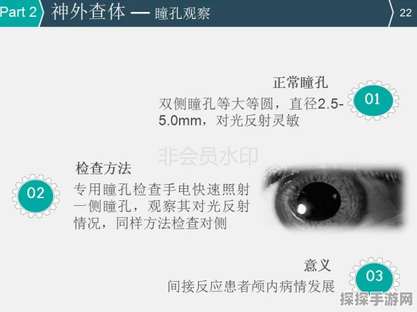 动动大脑瓜男友查房，轻松通关秘籍大揭秘