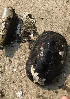暗黑4愤怒恶念召唤器获取攻略