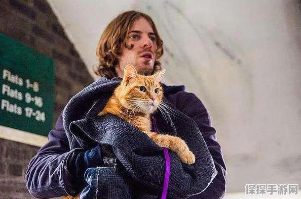 拯救猫咪，打破关卡阻碍的终极秘籍