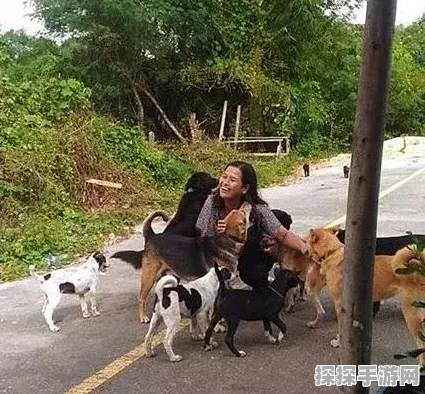 拯救猫咪，打破关卡阻碍的终极秘籍