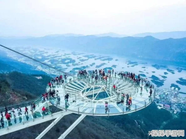 植物大战僵尸2天空之城第9天通关全攻略