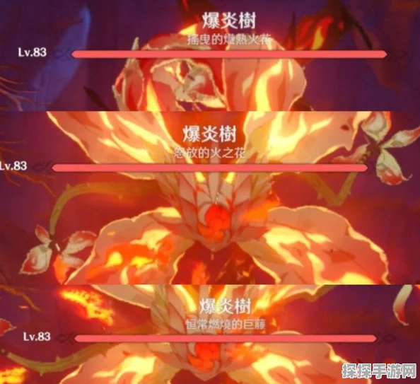 原神，恒常机关阵列掉落材料揭秘与挑战位置全解析