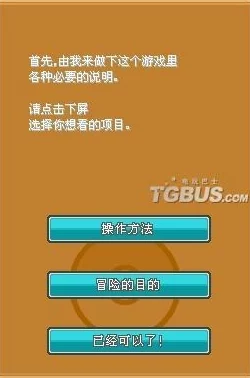 NDS口袋妖怪钻石版，全新工具宠功能揭秘与版本更新速递