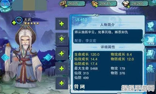 仙剑奇侠传五前传穹武挑战全攻略，实战精髓与制胜策略深度剖析