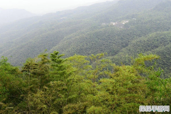 烟雨江湖忘忧村支线任务全攻略，解锁世外桃源的隐藏秘密