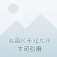 洪门崛起剑灵55层武神塔攀登攻略，高手之路