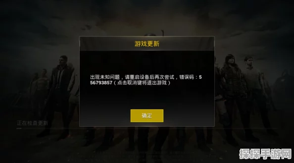 绝地求生游戏黑屏问题全面解析与解决方案
