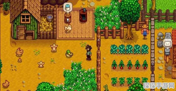 星露谷物语姜岛宝石摆放攻略，解锁神秘力量，探索无尽奇遇