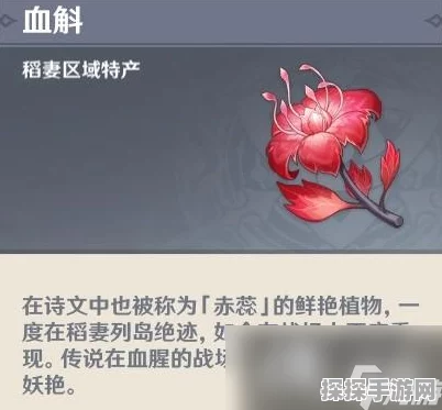 原神血斛采集秘籍，最佳路线大公开