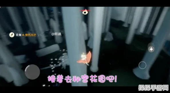 光遇秘密花园冥想位置全攻略