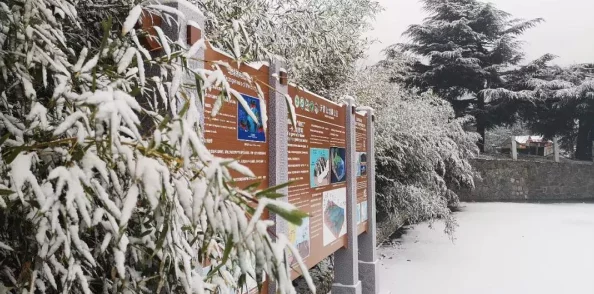 瑞雪兆丰年，一梦江湖邀您共赏初雪盛景——手游版本更新与活动预告