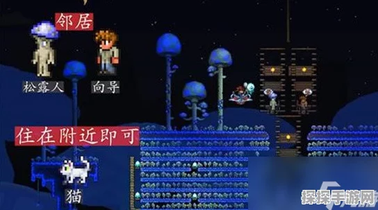 泰拉瑞亚巫医入住全攻略，解锁神秘商贩NPC的居住秘籍