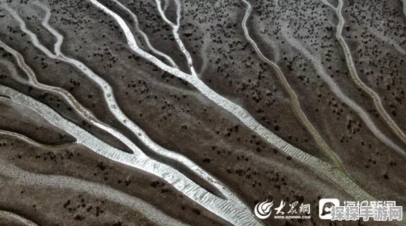 灵魂潮汐，探寻小杰的神秘踪迹