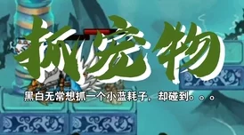 造梦西游 4 手机版，宠物性格精挑细选秘籍