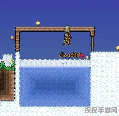 泰拉瑞亚手游资讯，掌握天空垂钓技巧，解锁任务鱼新成就