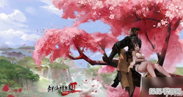 剑侠 2 大补贴，全方位解析其强大功能