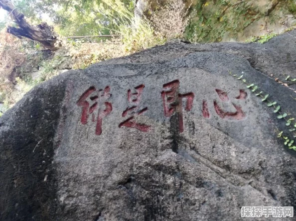 仙境传说RO手游，探寻崩塌的遗迹，解锁神秘拍照地点