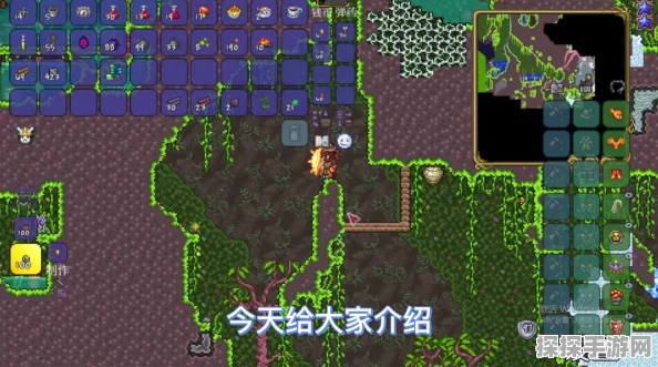 泰拉瑞亚手游资讯，揭秘丛林孢子的获取方法与用途