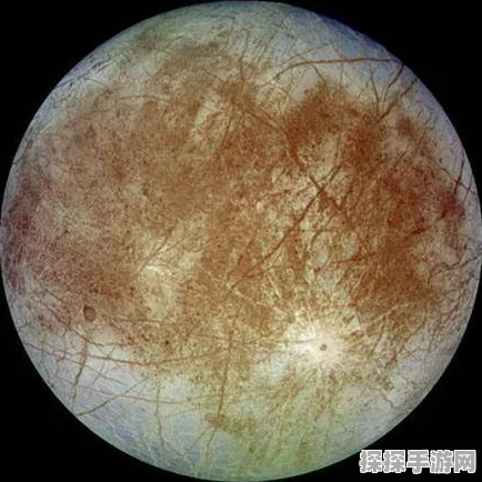 探寻星球重启酸液腺体的神秘所在