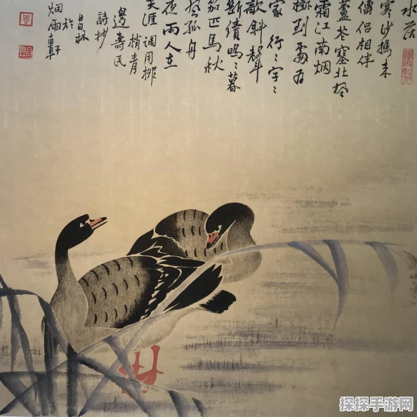 烟雨江湖，先天天赋选择深度解析，助你江湖路更顺