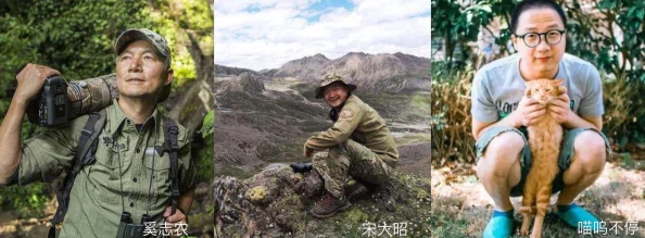 怪物猎人世界手游沙漠地图第三只猫探寻指南
