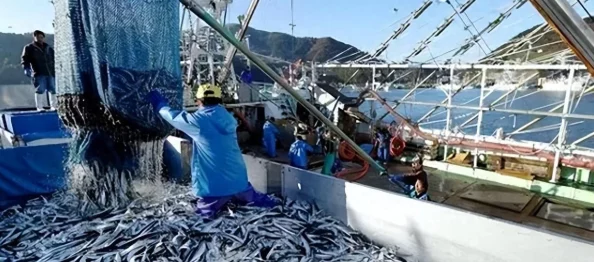 手游资讯，第五人格新赛季混沌纷争重大改版曝光，全新轮换模式与丰厚奖励燃爆期待