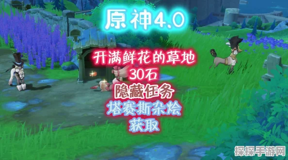 原神手游资讯，开满鲜花的草地探险攻略与版本亮点