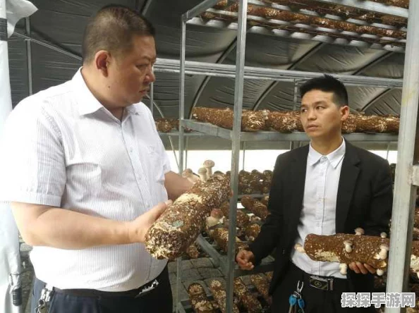 手游资讯，大侠立志传手机版大梁城地图获取全攻略
