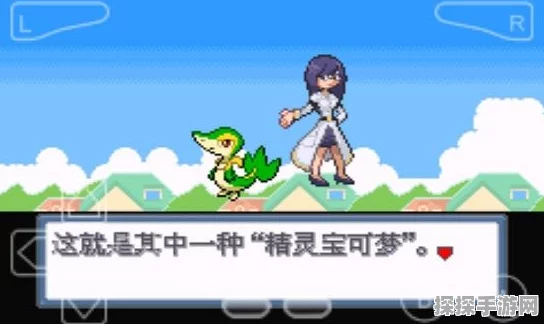 口袋妖怪白金光送娄，开启一场前所未有的冒险之旅