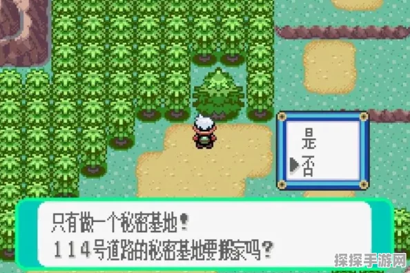 口袋妖怪白金光送娄，开启一场前所未有的冒险之旅