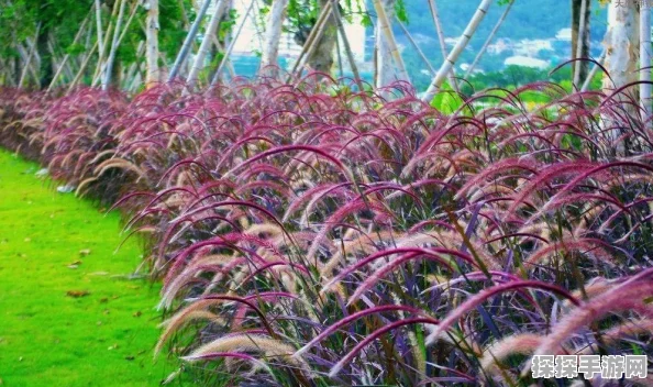植物大战僵尸GHTR版手机版震撼发布，策略冒险新体验等你来探索