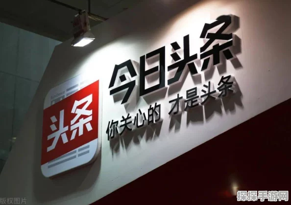 轻松解锁头条号领域之谜