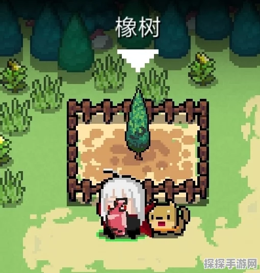 元气骑士，揭秘植物生长时间的奥秘，新版本更新资讯