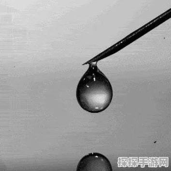 探索，神奇彩蛋背后的秘密